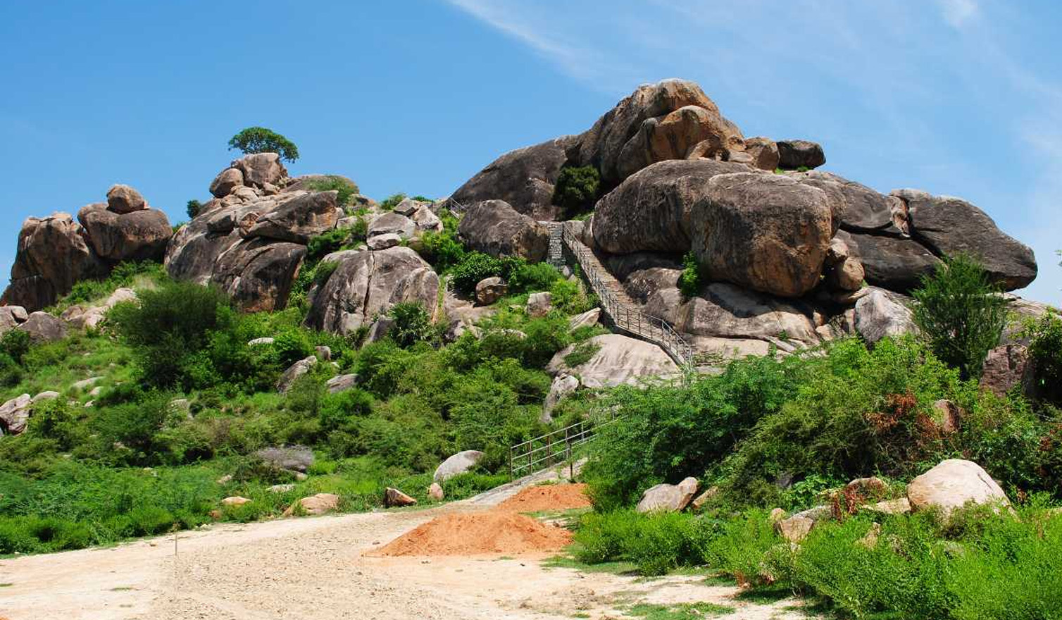 Thashmika Tours & Travels