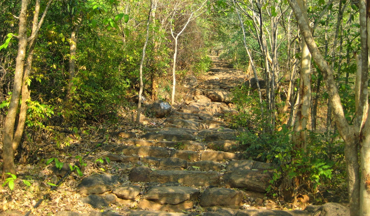 Thashmika Tours & Travels